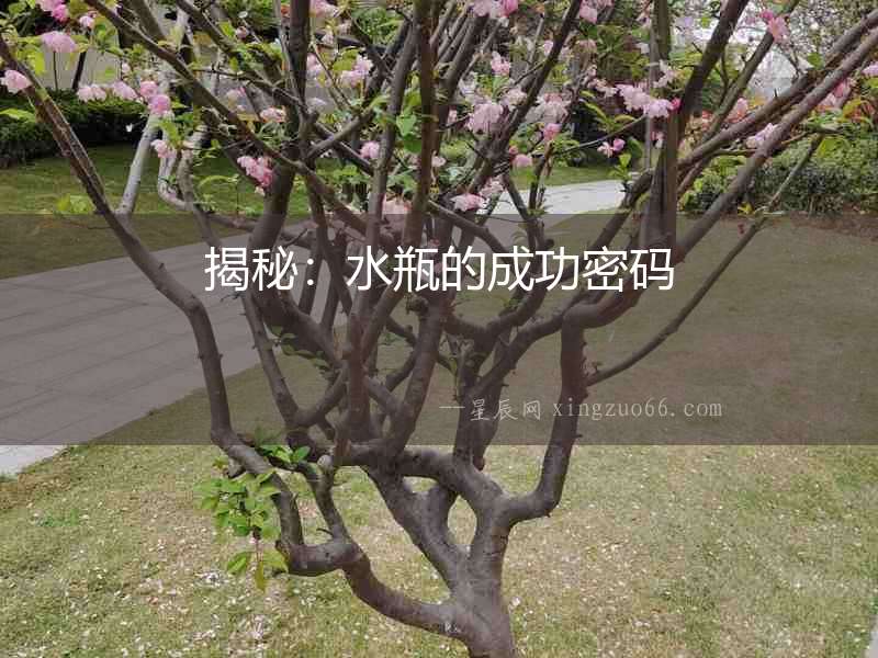 揭秘：水瓶的成功密碼