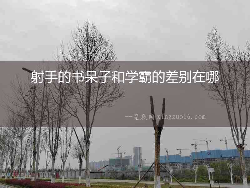 射手的書呆子和學(xué)霸的差別在哪