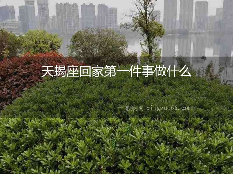 天蝎座回家第一件事做什么