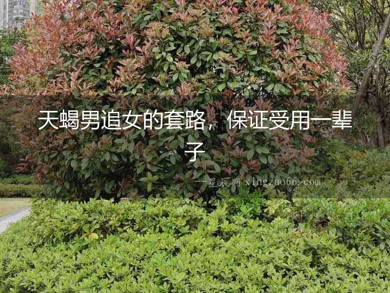 天蝎男追女的套路，保證受用一輩子