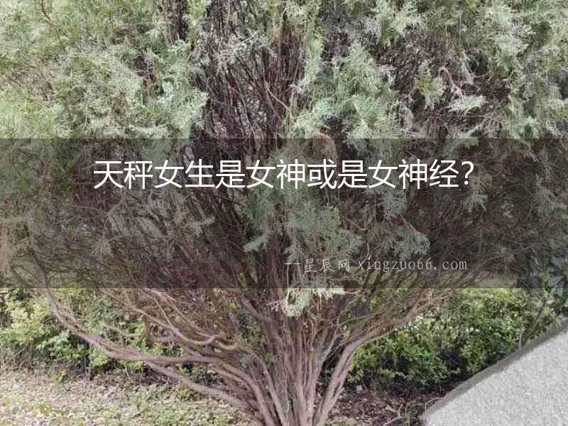 天秤女生是女神或是女神經(jīng)？