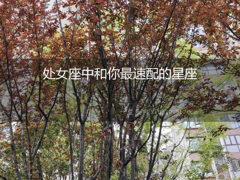 處女座中和你最速配的星座