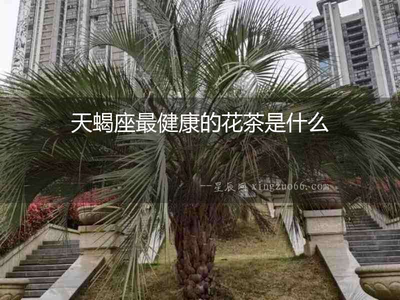天蝎座最健康的花茶是什么