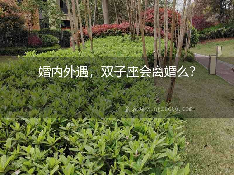 婚內外遇，雙子座會離婚么？