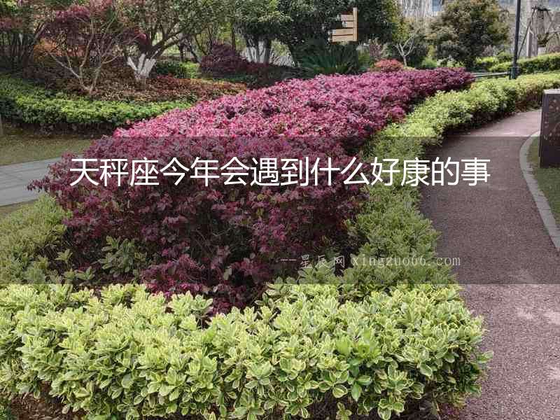 天秤座今年會遇到什么好康的事