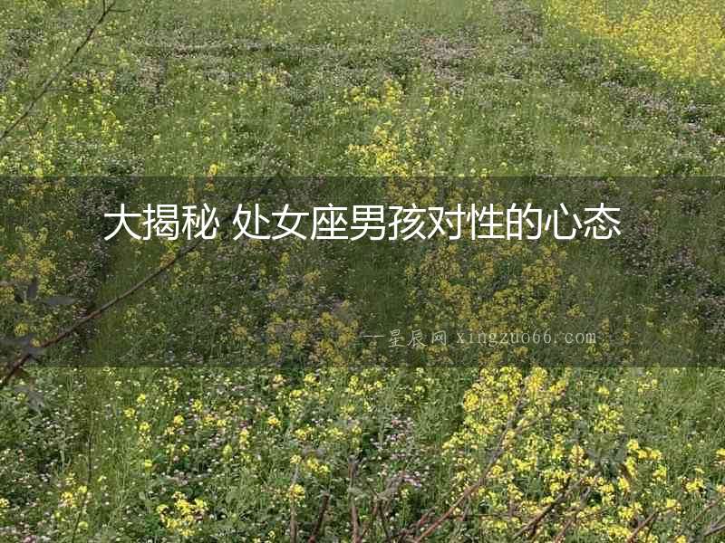 大揭秘 處女座男孩對性的心態