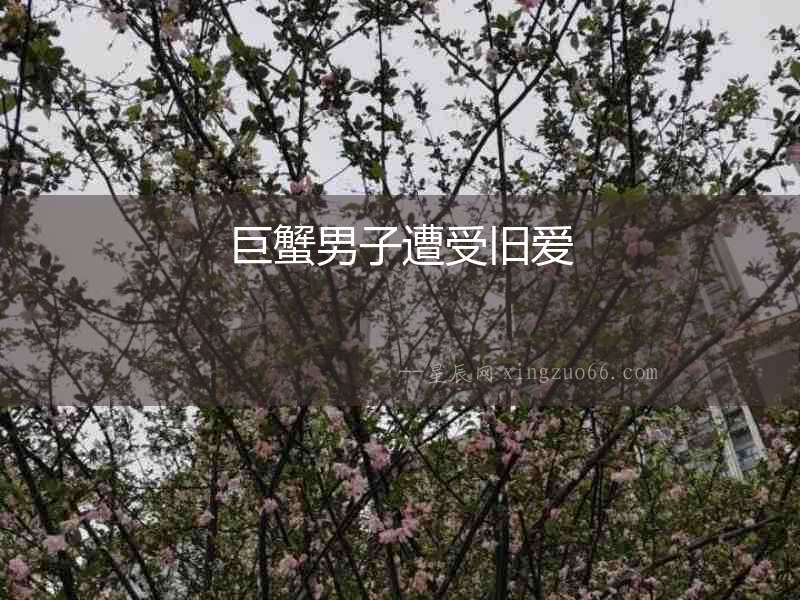 巨蟹男子遭受舊愛