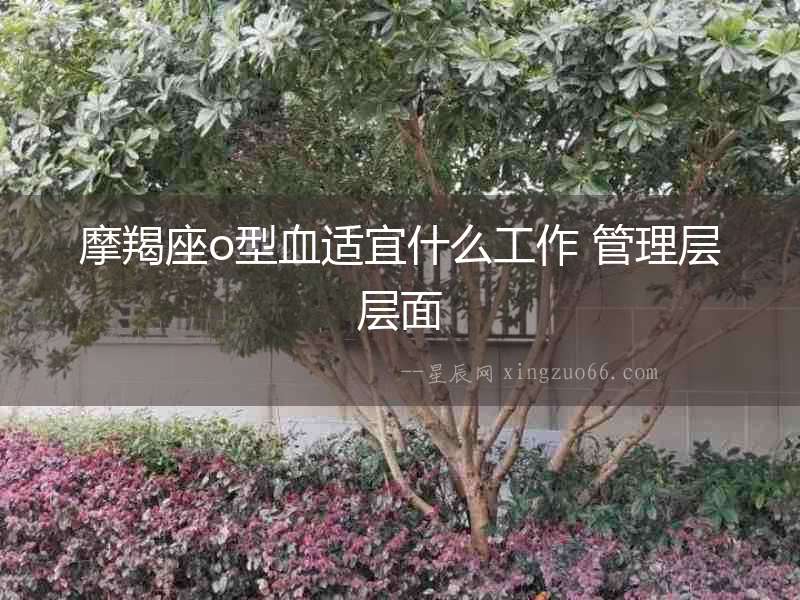 摩羯座o型血適宜什么工作 管理層層面