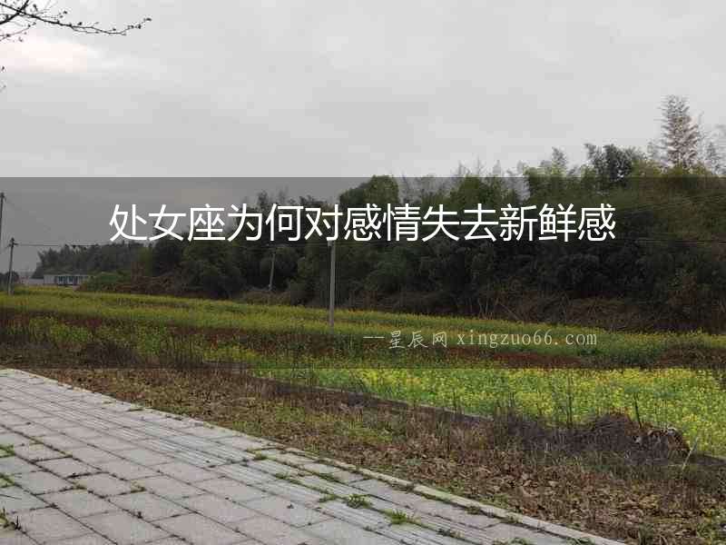 處女座為何對感情失去新鮮感