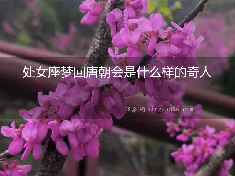 處女座夢回唐朝會是什么樣的奇人