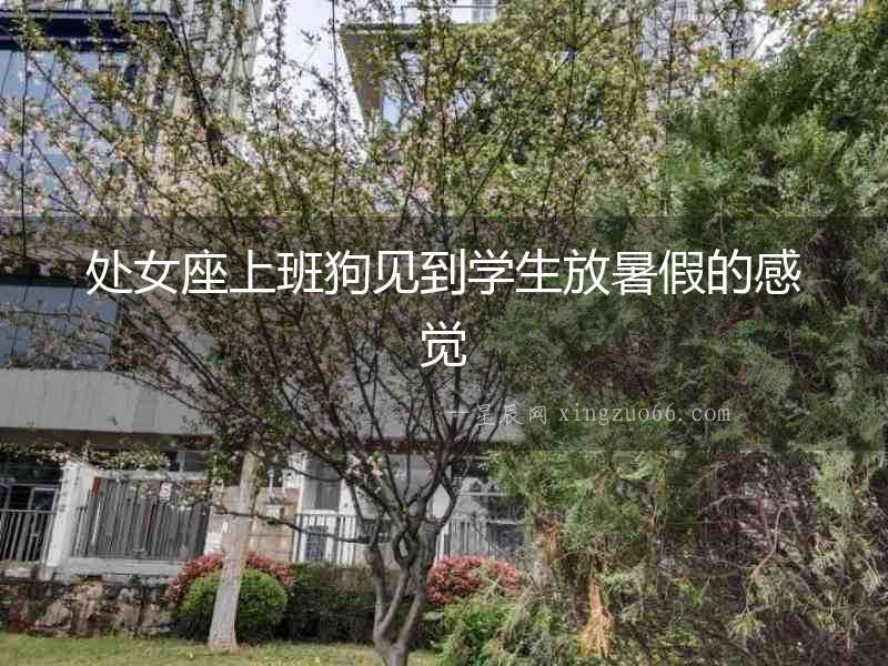 處女座上班狗見到學(xué)生放暑假的感覺