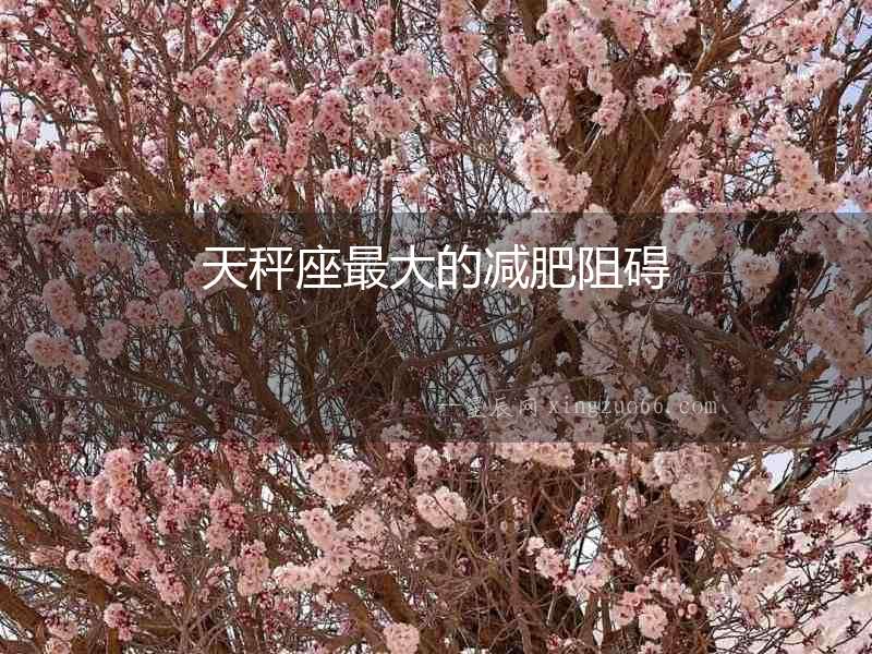 天秤座最大的減肥阻礙
