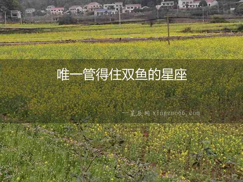 唯一管得住雙魚的星座
