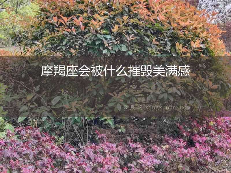 摩羯座會被什么摧毀美滿感