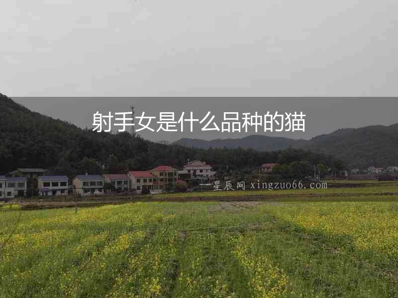 射手女是什么品種的貓