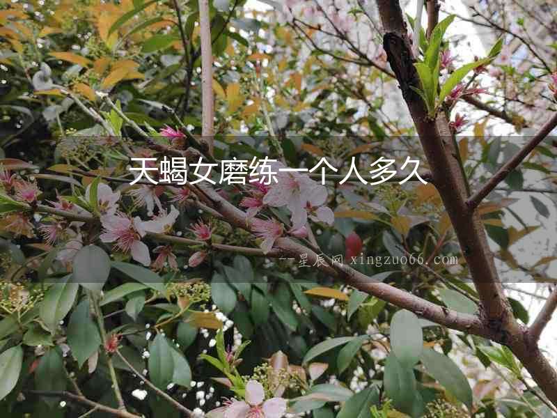 天蝎女磨練一個人多久