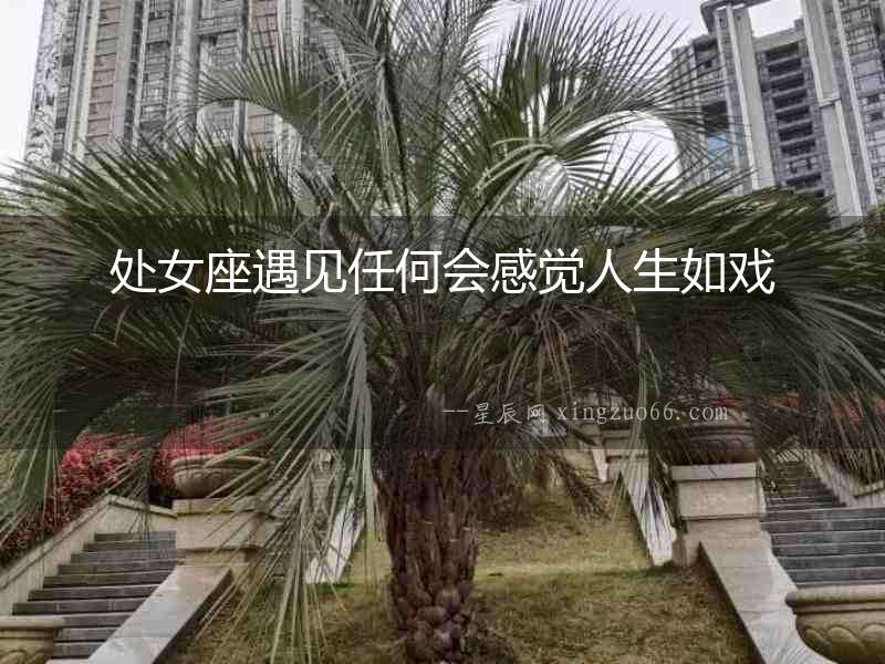 處女座遇見任何會感覺人生如戲