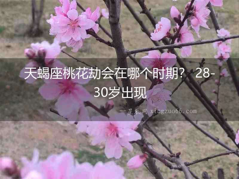 天蝎座桃花劫會在哪個時期？ 28-30歲出現
