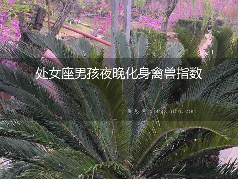 處女座男孩夜晚化身禽獸指數(shù)