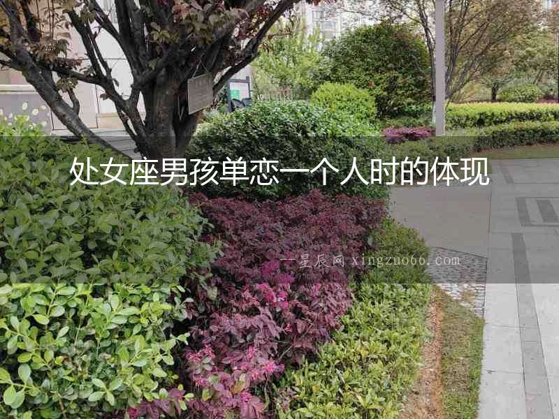 處女座男孩單戀一個人時的體現