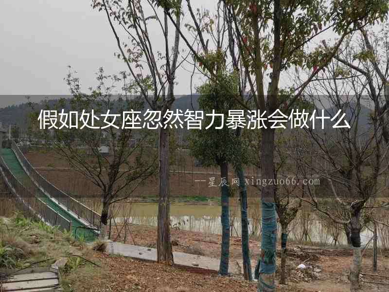 假如處女座忽然智力暴漲會做什么