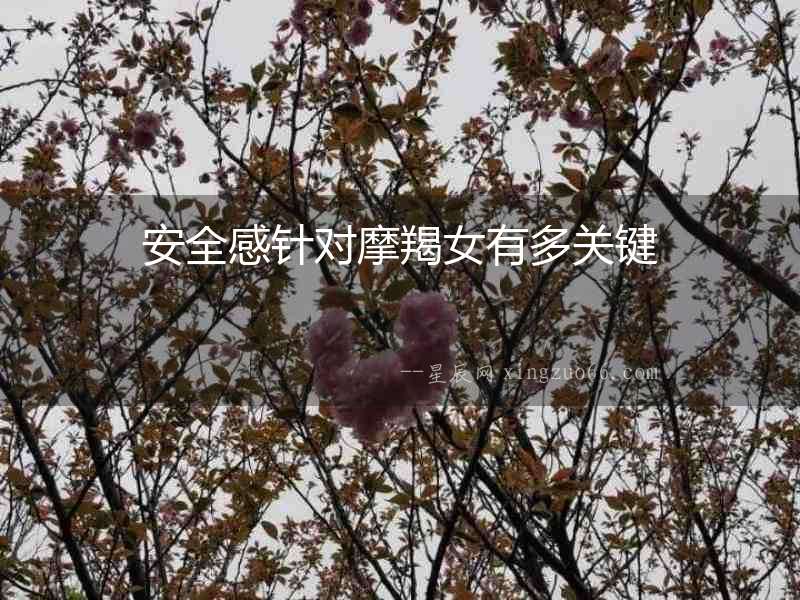 安全感針對摩羯女有多關鍵