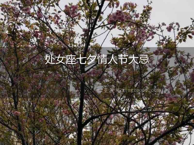 處女座七夕情人節大忌