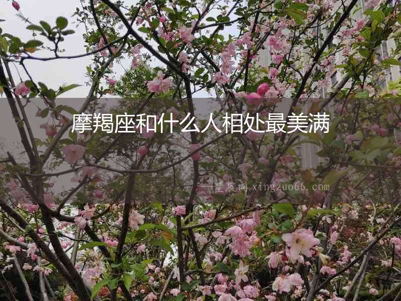 摩羯座和什么人相處最美滿