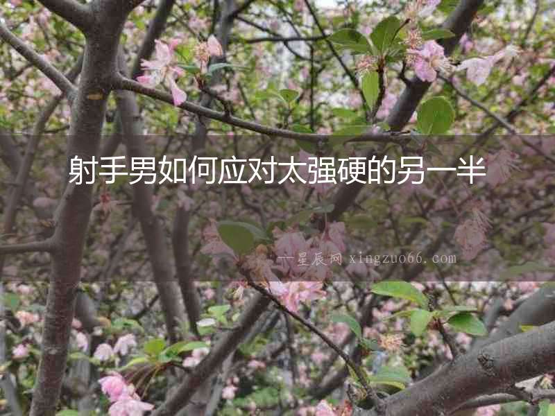 射手男如何應對太強硬的另一半