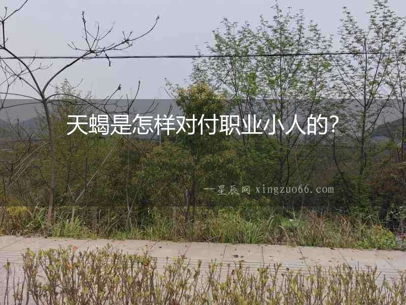 天蝎是怎樣對付職業小人的？