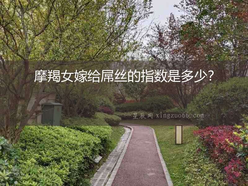 摩羯女嫁給屌絲的指數(shù)是多少？