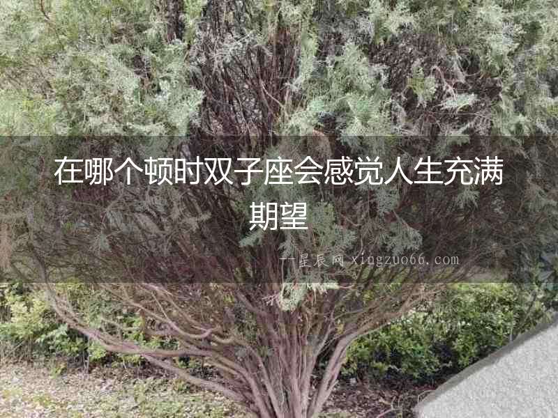 在哪個(gè)頓時(shí)雙子座會(huì)感覺人生充滿期望