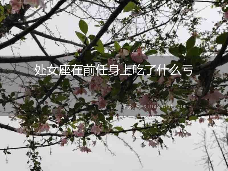處女座在前任身上吃了什么虧