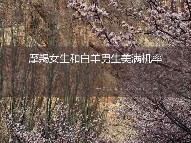 摩羯女生和白羊男生美滿機(jī)率