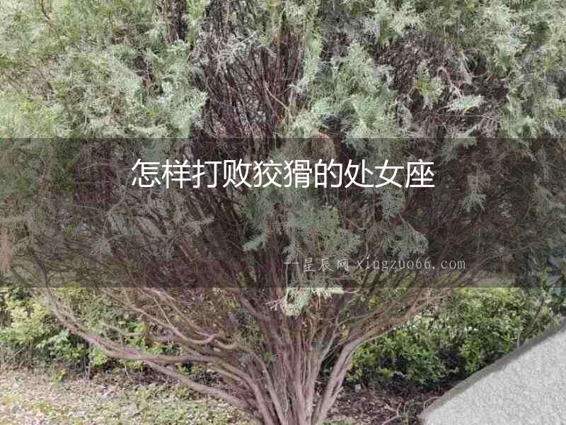 怎樣打敗狡猾的處女座