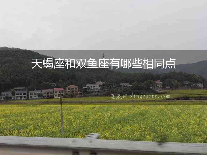 天蝎座和雙魚座有哪些相同點