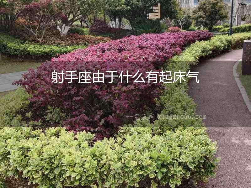 射手座由于什么有起床氣