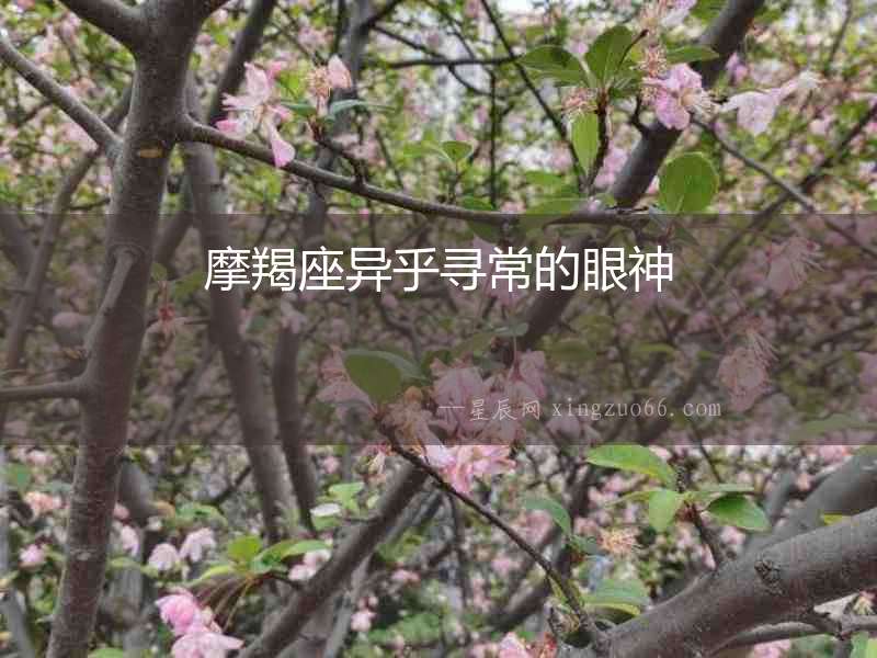摩羯座異乎尋常的眼神