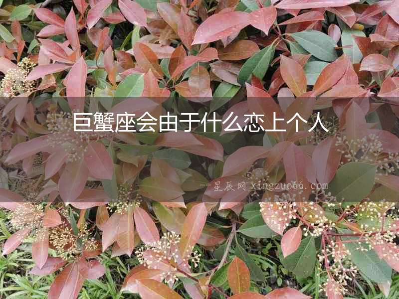 巨蟹座會由于什么戀上個人