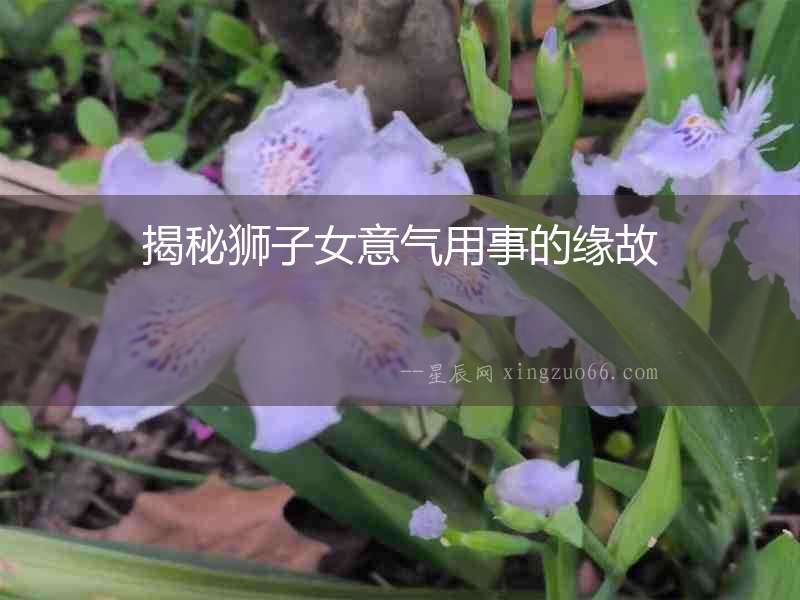 揭秘獅子女意氣用事的緣故