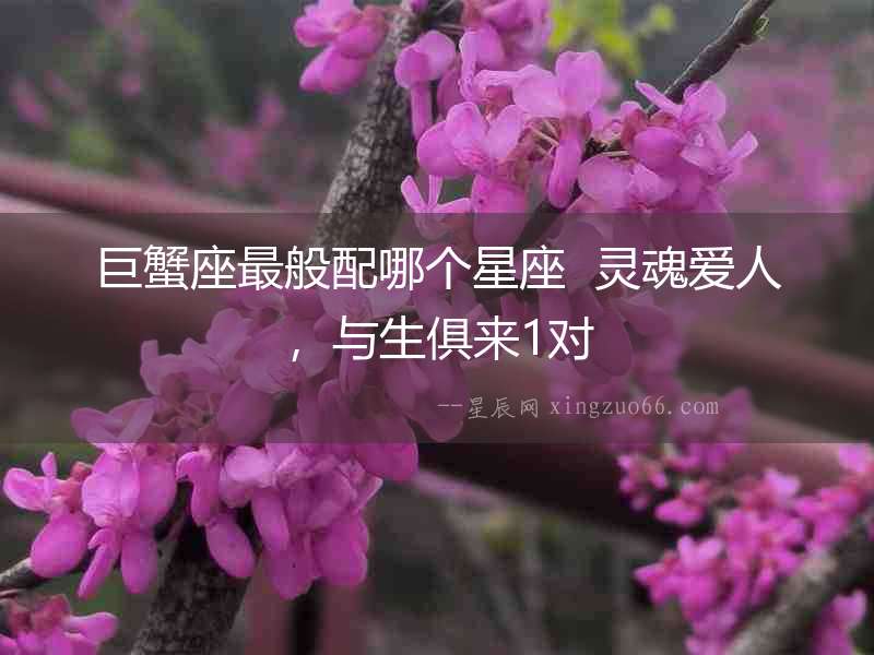 巨蟹座最般配哪個星座  靈魂愛人，與生俱來1對