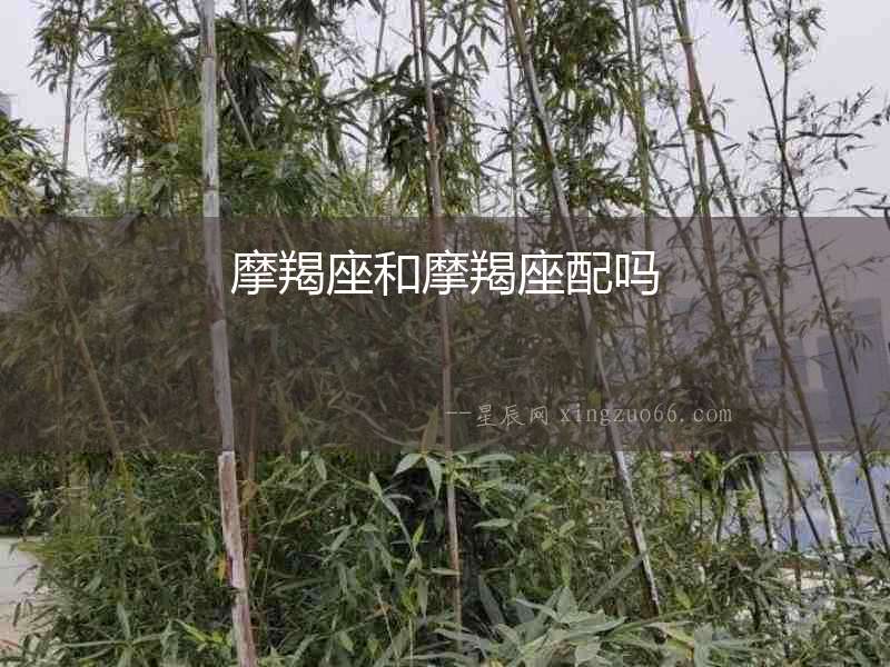 摩羯座和摩羯座配嗎