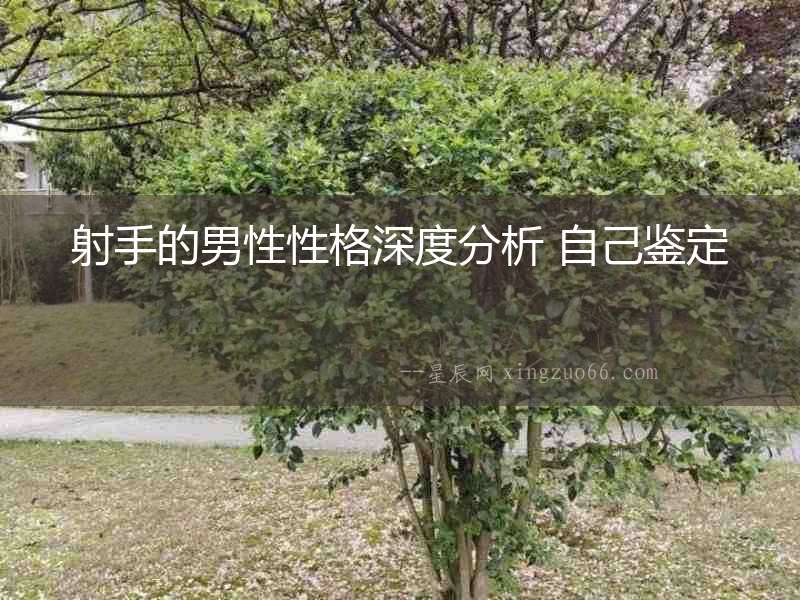 射手的男性性格深度分析 自己鑒定