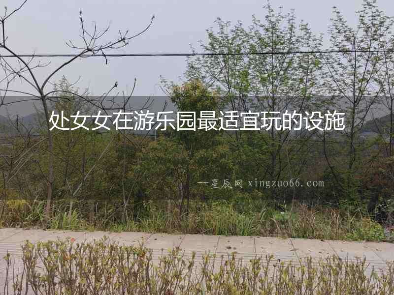 處女女在游樂園最適宜玩的設施