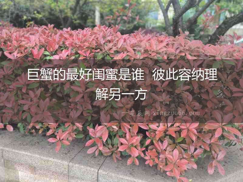 巨蟹的最好閨蜜是誰  彼此容納理解另一方