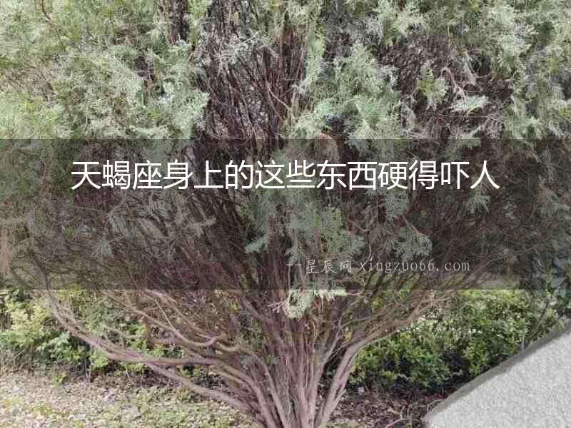 天蝎座身上的這些東西硬得嚇人