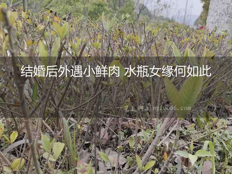 結婚后外遇小鮮肉 水瓶女緣何如此