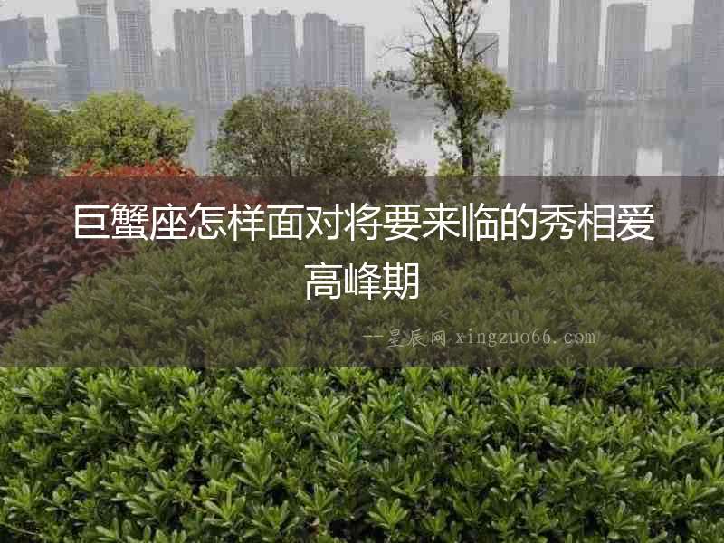 巨蟹座怎樣面對將要來臨的秀相愛高峰期