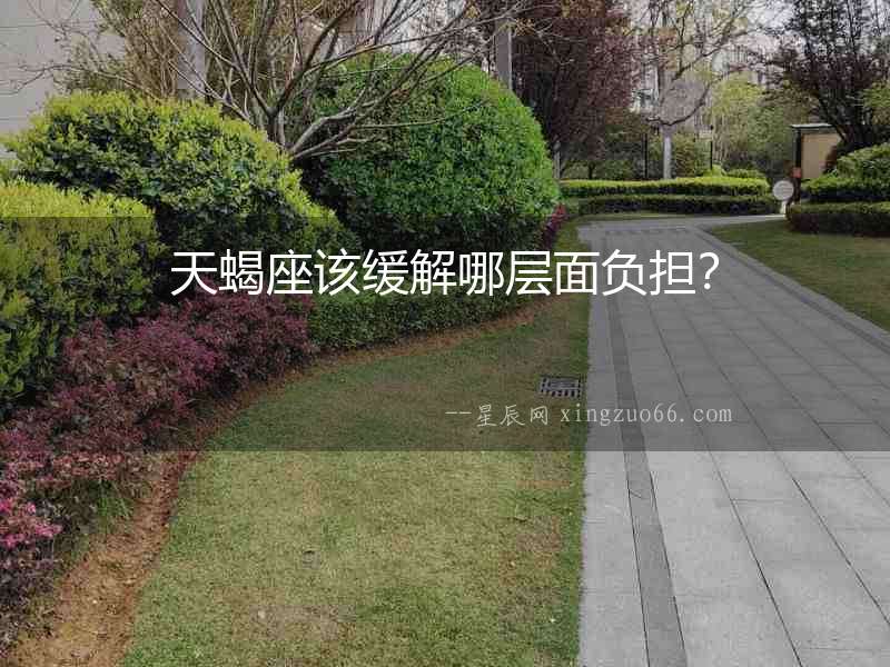 天蝎座該緩解哪層面負(fù)擔(dān)？