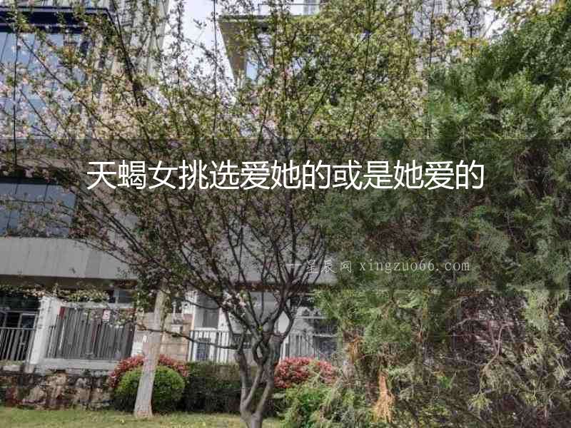 天蝎女挑選愛她的或是她愛的